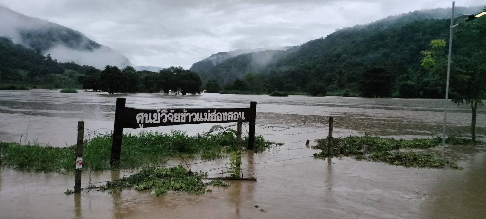 1723433978100 ‣ Catchup.asia