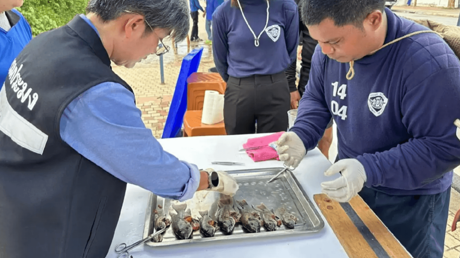 Screenshot 2024-08-15 092732 ‣ Catchup.asia