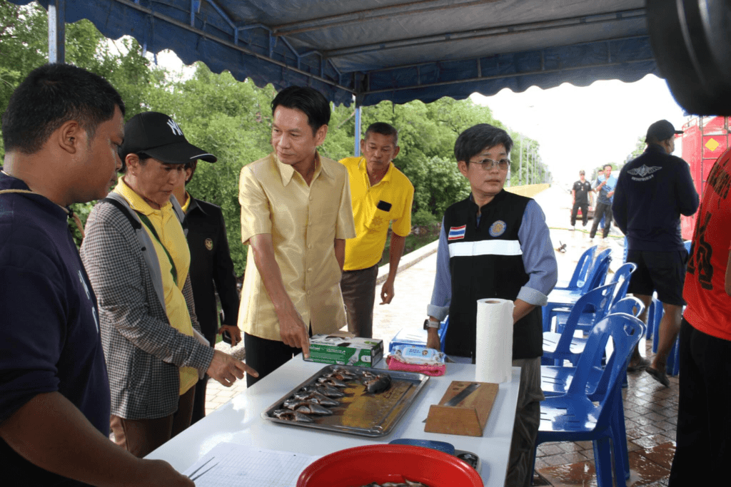 image ‣ Catchup.asia