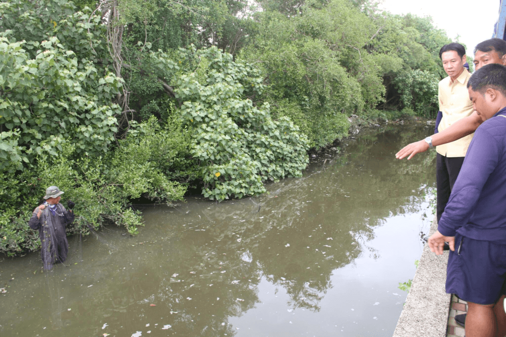 image ‣ Catchup.asia