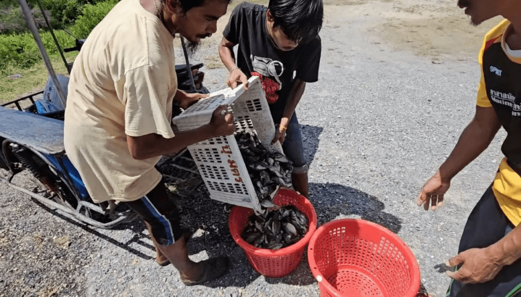 image ‣ Catchup.asia