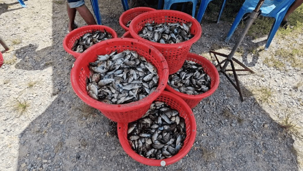 image ‣ Catchup.asia