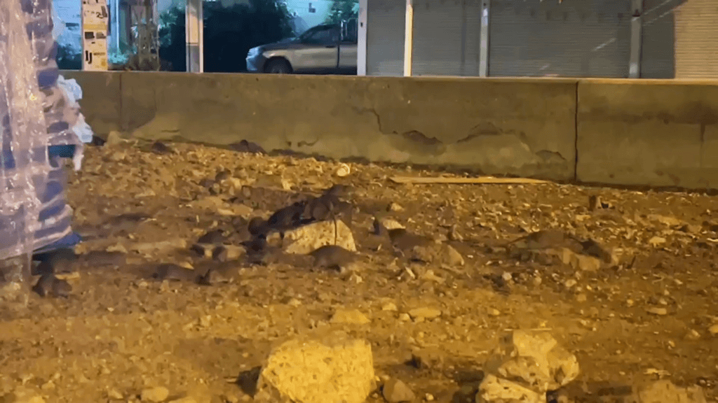 image ‣ Catchup.asia