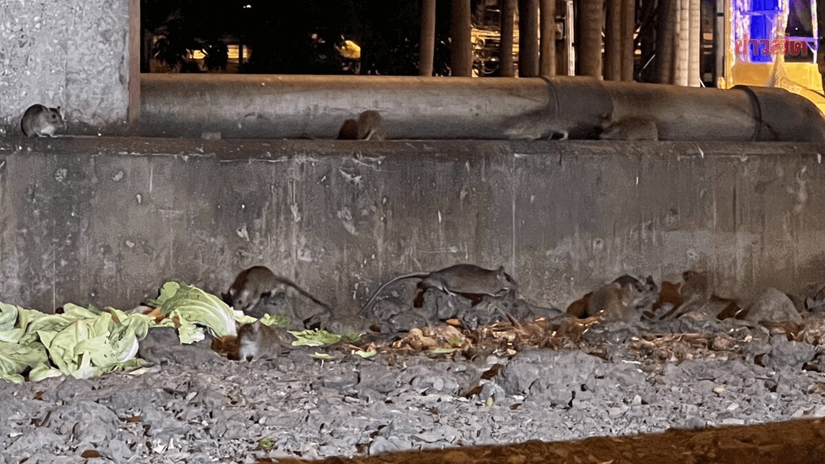 image ‣ Catchup.asia