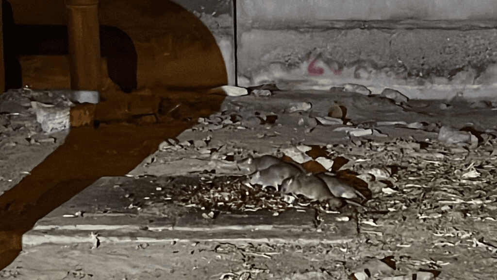 image ‣ Catchup.asia