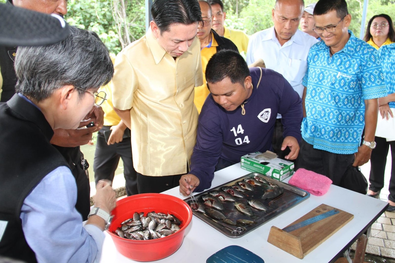 ปลาหมอคางดำ_6 ‣ Catchup.asia