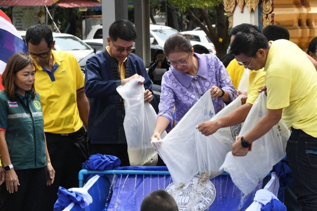 ปล่อยปลานักล่าลงคลอง จ.นนทบุรี เร่งปราบปลาหมอคางดำ