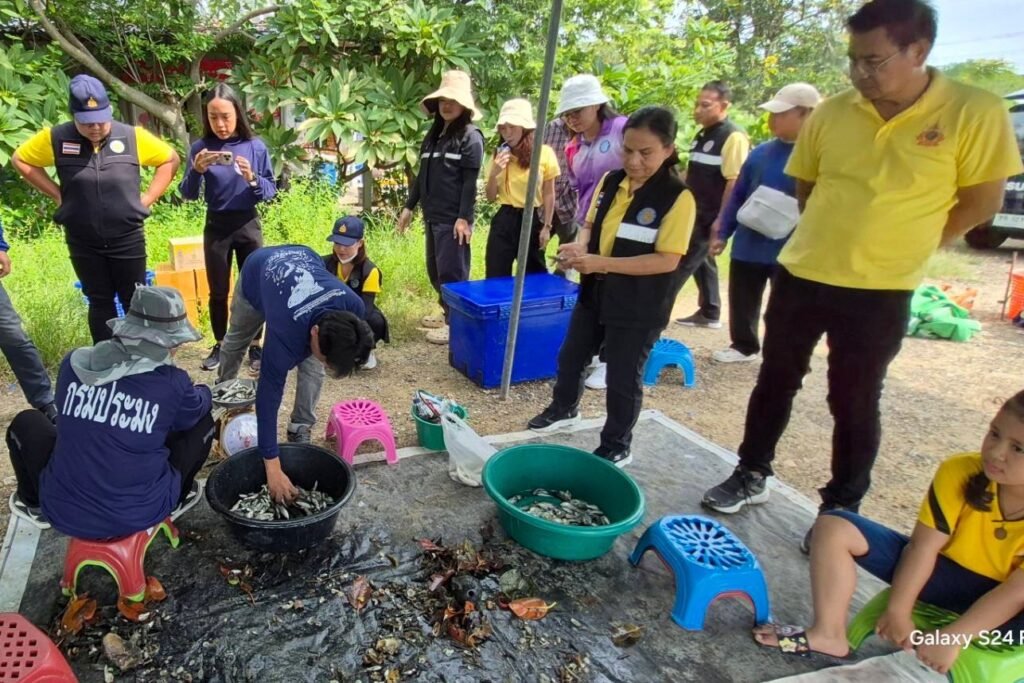 S__230416410_0 ‣ Catchup.asia