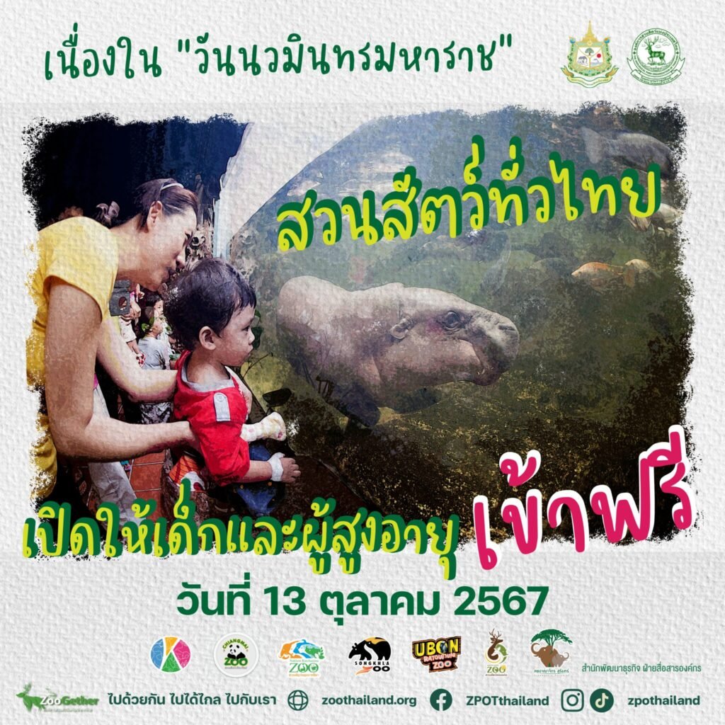 ZPOT-13102024-02-2048x2048 ‣ Catchup.asia