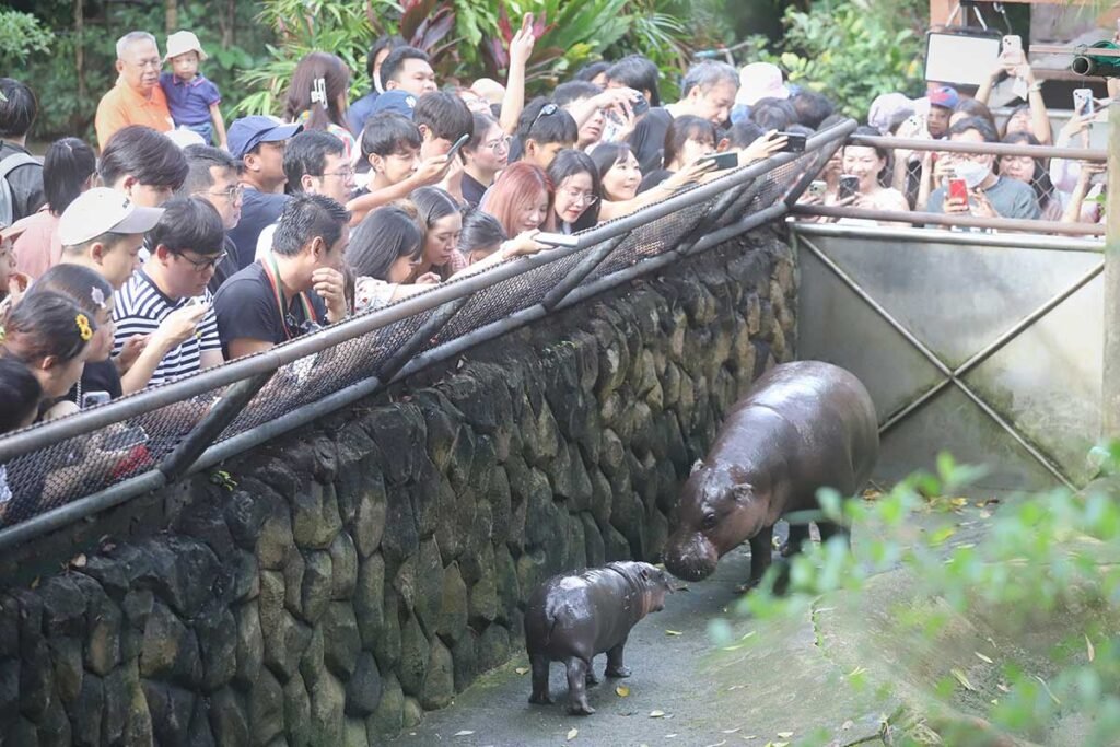 moo-1024x683 ‣ Catchup.asia