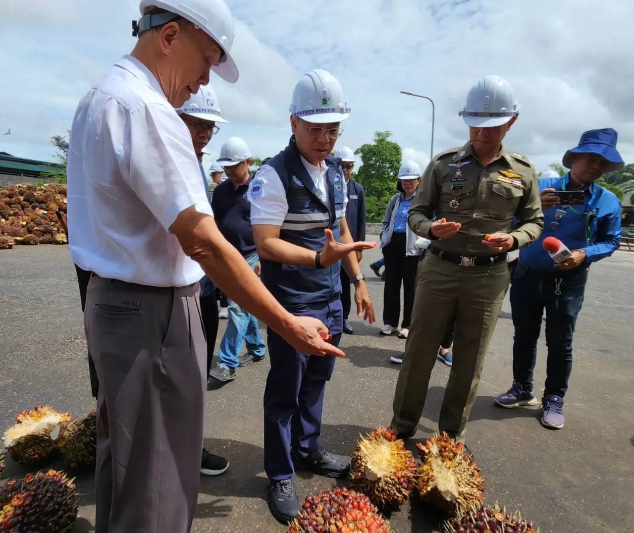 “พิชัย” สั่งลงพื้นที่ภาคใต้ ตรวจสอบปาล์มน้ำมัน คาด ม.ค. 68 ราคาเข้าสู่ภาวะปกติ