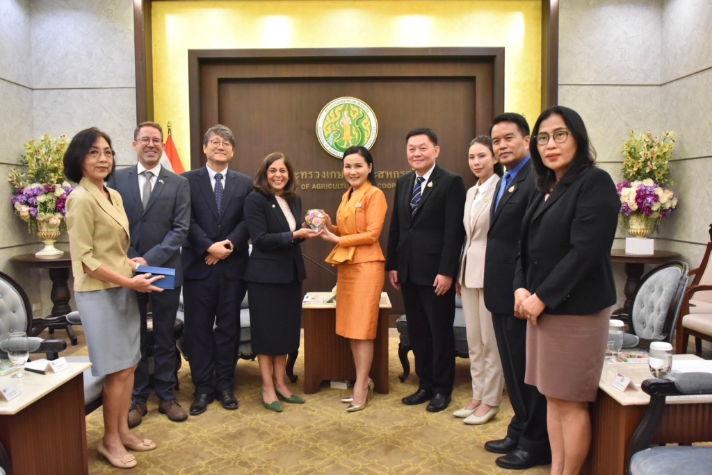 image ‣ Catchup.asia