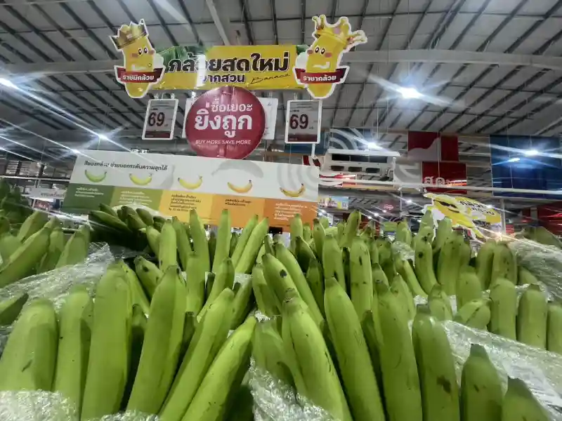 กล้วยหอมทอง_6_0 ‣ Catchup.asia