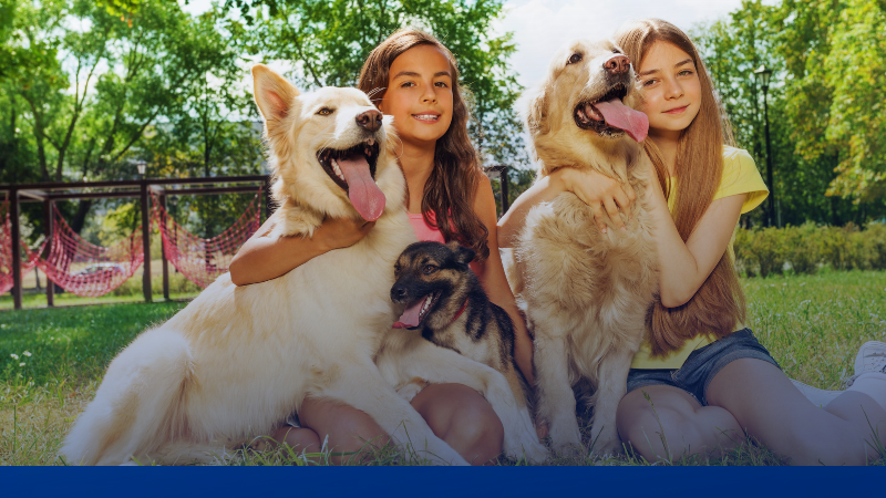 petfood-thailand-growth-2025.jpg ‣ Catchup.asia